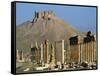 Grand Colonnade and the Arab Castle, Palmyra, Unesco World Heritage Site, Syria, Middle East-Bruno Morandi-Framed Stretched Canvas