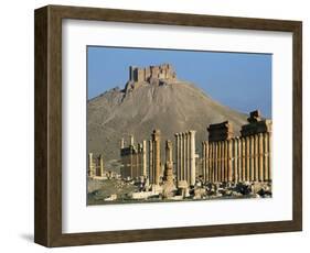 Grand Colonnade and the Arab Castle, Palmyra, Unesco World Heritage Site, Syria, Middle East-Bruno Morandi-Framed Photographic Print