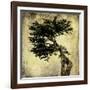 Grand Cypress-Honey Malek-Framed Art Print