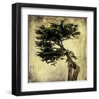 Grand Cypress-Honey Malek-Framed Art Print