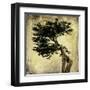 Grand Cypress-Honey Malek-Framed Art Print