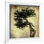 Grand Cypress-Honey Malek-Framed Art Print