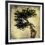 Grand Cypress-Honey Malek-Framed Art Print
