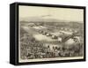 Grand Encampment of the Order of the Star of India at Calcutta, 1 January 1876-null-Framed Stretched Canvas