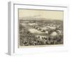 Grand Encampment of the Order of the Star of India at Calcutta, 1 January 1876-null-Framed Giclee Print