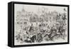 Grand Entry of the Emperor and Empress of Austria into Pesth-null-Framed Stretched Canvas