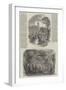Grand Fete Champetre at Charlton House-George Harrison-Framed Giclee Print