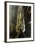 Grand Gallery Inside the Great Pyramid of Khufu, Giza, Egypt-Schlenker Jochen-Framed Photographic Print