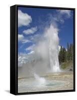 Grand Geyser Erupting, Upper Geyser Basin, Yellowstone National Park, Wyoming, USA-Neale Clarke-Framed Stretched Canvas