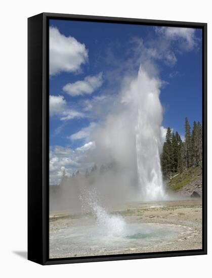 Grand Geyser Erupting, Upper Geyser Basin, Yellowstone National Park, Wyoming, USA-Neale Clarke-Framed Stretched Canvas