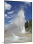 Grand Geyser Erupting, Upper Geyser Basin, Yellowstone National Park, Wyoming, USA-Neale Clarke-Mounted Photographic Print