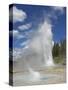 Grand Geyser Erupting, Upper Geyser Basin, Yellowstone National Park, Wyoming, USA-Neale Clarke-Stretched Canvas