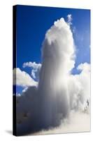 Grand Geyser Erupts and Steam Blocks the Sun, Upper Geyser Basin, Yellowstone National Park-Eleanor Scriven-Stretched Canvas