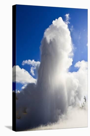 Grand Geyser Erupts and Steam Blocks the Sun, Upper Geyser Basin, Yellowstone National Park-Eleanor Scriven-Stretched Canvas