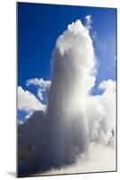 Grand Geyser Erupts and Steam Blocks the Sun, Upper Geyser Basin, Yellowstone National Park-Eleanor Scriven-Mounted Photographic Print