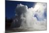 Grand Geyser Erupts and Steam Blocks the Sun-Eleanor-Mounted Photographic Print