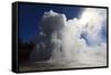 Grand Geyser Erupts and Steam Blocks the Sun-Eleanor-Framed Stretched Canvas