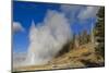 Grand Geyser Erupts, Forcing Steam High into the Air, Upper Geyser Basin-Eleanor Scriven-Mounted Photographic Print