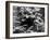 Grand Illusion, Jean Gabin, Marcel Dalio, 1937-null-Framed Photo