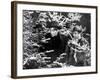 Grand Illusion, Jean Gabin, Marcel Dalio, 1937-null-Framed Photo