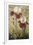 Grand Irises-Fangyu Meng-Framed Giclee Print