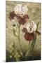 Grand Irises-Fangyu Meng-Mounted Giclee Print