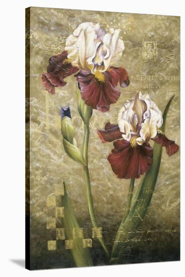 Grand Irises-Fangyu Meng-Stretched Canvas