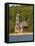 Grand Island East Channel Lighthouse, Michigan, USA-Peter Hawkins-Framed Stretched Canvas