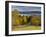 Grand Isle on Lake Champlain, Vermont, New England, United States of America, North America-Alan Copson-Framed Photographic Print