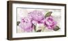 Grand Jardin Royal-Jenny Thomlinson-Framed Art Print