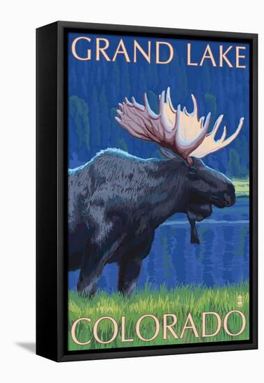 Grand Lake, Colorado - Moose at Night-Lantern Press-Framed Stretched Canvas