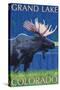 Grand Lake, Colorado - Moose at Night-Lantern Press-Stretched Canvas