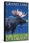 Grand Lake, Colorado - Moose at Night-Lantern Press-Framed Stretched Canvas