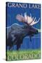 Grand Lake, Colorado - Moose at Night-Lantern Press-Stretched Canvas