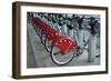 Grand Lyon I-Erin Berzel-Framed Photographic Print