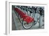 Grand Lyon I-Erin Berzel-Framed Photographic Print