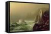 Grand Manan Island-Harrison Bird Brown-Framed Stretched Canvas