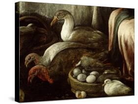 Grand Market-Francesco Bassano II-Stretched Canvas