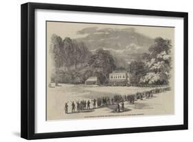 Grand Meeting of the Devon and Cornwall Archery Clubs, at Bitton Manor, Teignmouth-null-Framed Giclee Print