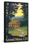 Grand Mesa, Colorado - Cabin Scene, c.2009-Lantern Press-Framed Stretched Canvas