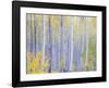 Grand Mesa-Don Paulson-Framed Giclee Print