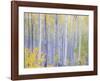 Grand Mesa-Don Paulson-Framed Giclee Print