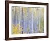 Grand Mesa-Don Paulson-Framed Giclee Print