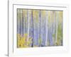 Grand Mesa-Don Paulson-Framed Giclee Print