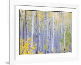 Grand Mesa-Don Paulson-Framed Giclee Print