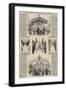 Grand Military Bazaar at the Regent's Park Barracks for the Distressed Irish-null-Framed Giclee Print