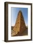Grand Mosque, Agadez, Niger-Michael Runkel-Framed Photographic Print