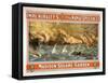 Grand Naval Spectacle Madison Square Garden Poster-Lantern Press-Framed Stretched Canvas