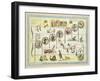 Grand New Method of Writing Music-Robert Seymour-Framed Giclee Print