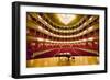 "Grand Old Lady of Broad Street," a 1857 built Opera stage with Grand Piano at the Opera Company...-null-Framed Photographic Print